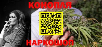 мдпв Бердск