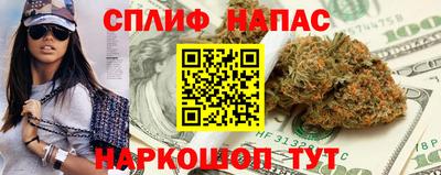 мдпв Бердск