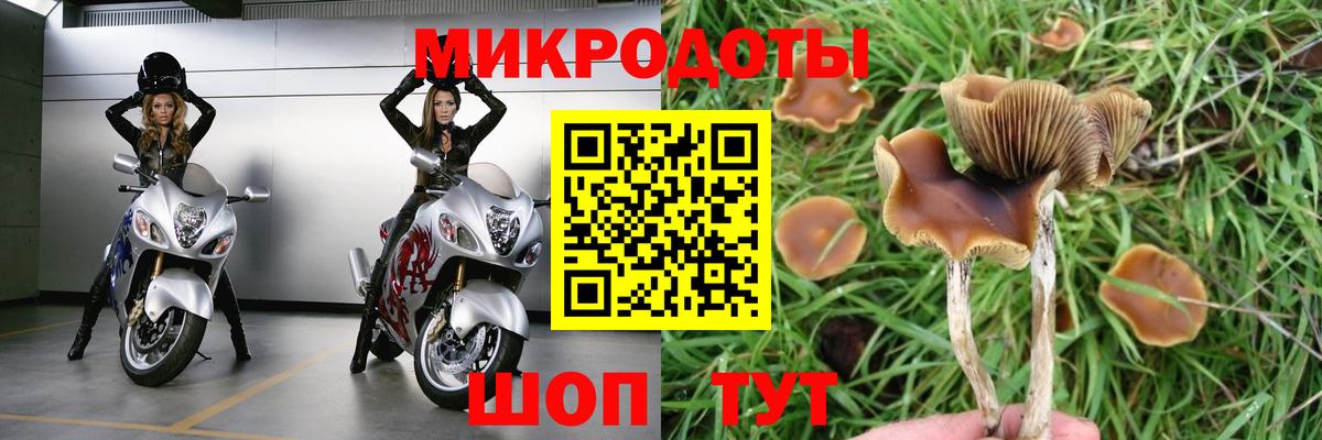 Серпухов  хочу наркоту  Галлюциногенные грибы Psilocybe  Вход с VPN  Псилоцибиновые грибы ЛСД 